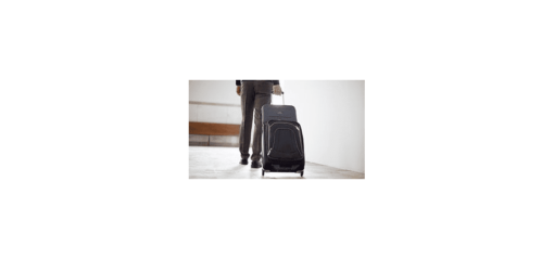 dreamstation travel case